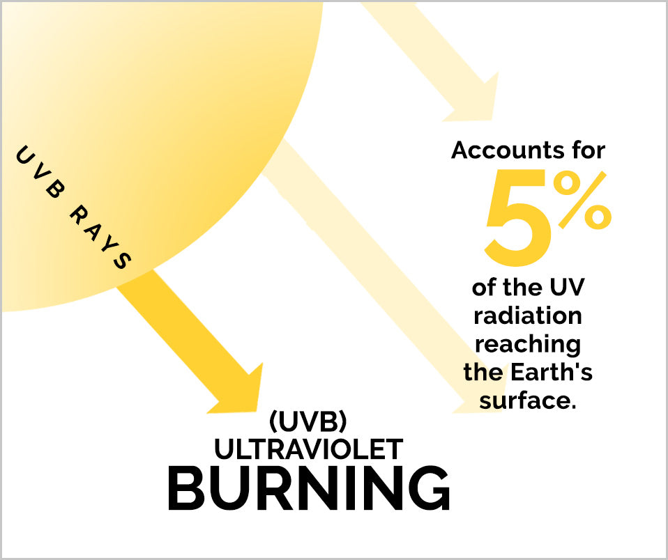 Different Types of UV Rays  About Types & Uses of UV Rays