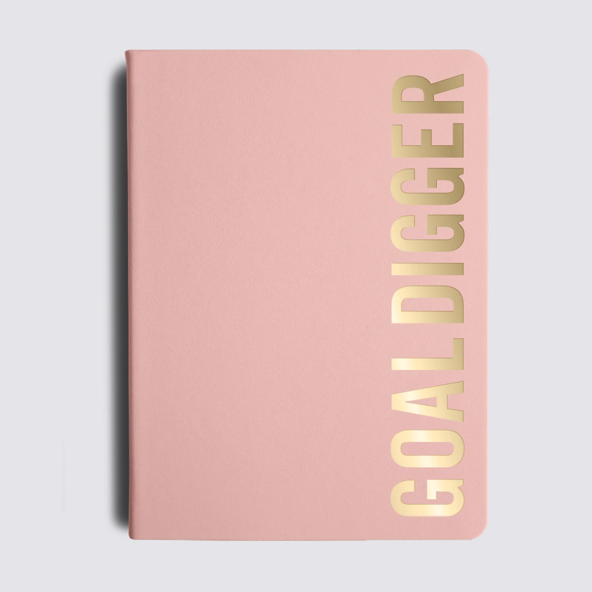 MiGoals pink Diary