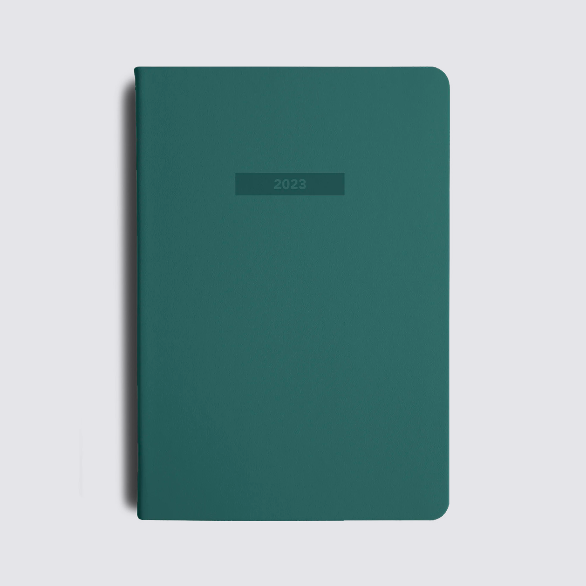 light blue 2023 Diary