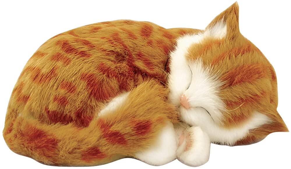 orange stuffed cat