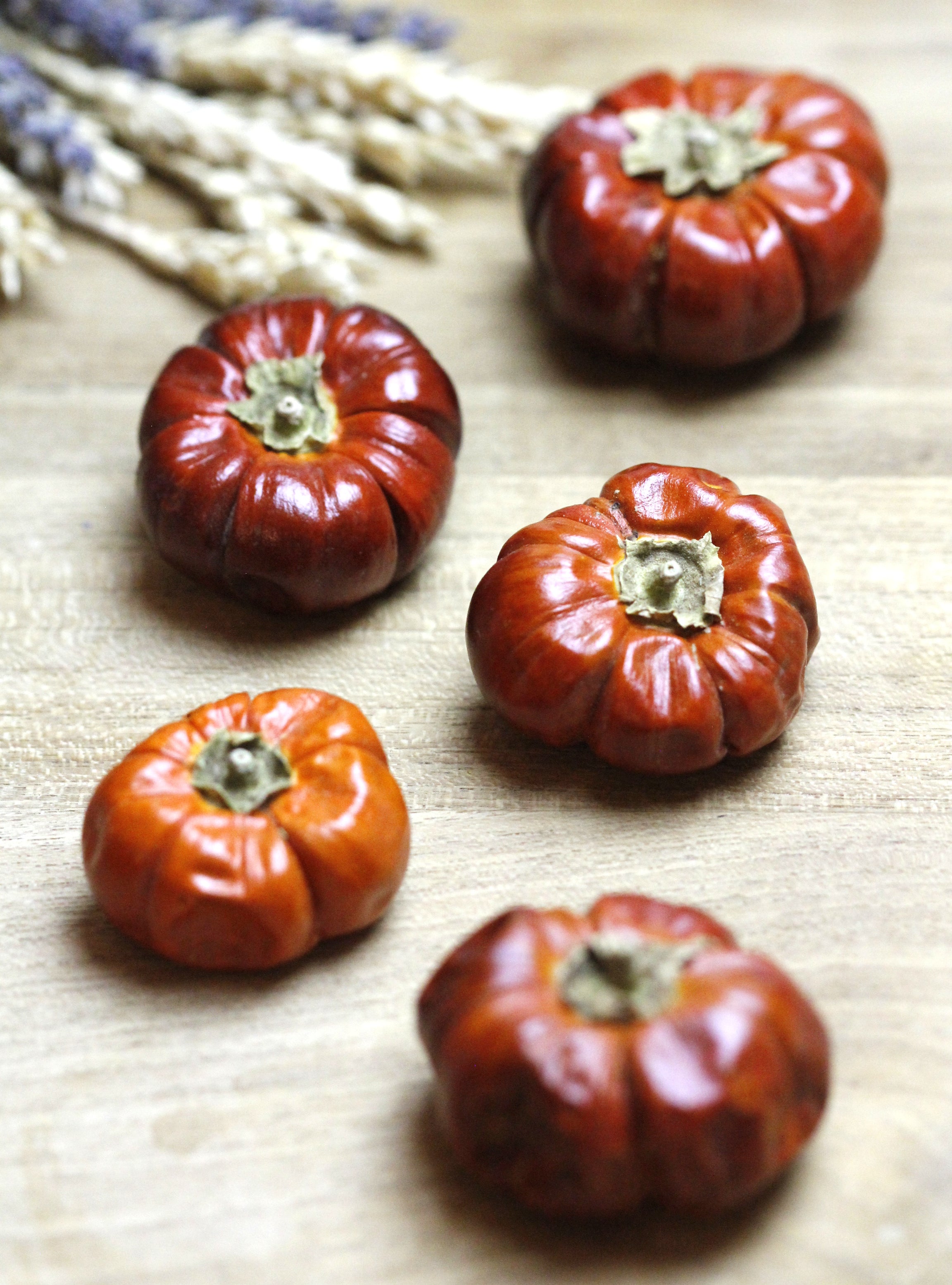 dried pumpinos mini pumpkin pods shaped like pumpkins botanical JPG