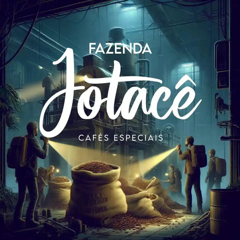 Pessoas admirando sacas de café em um depósito iluminado com o logotipo 'Fazenda Jotacê'