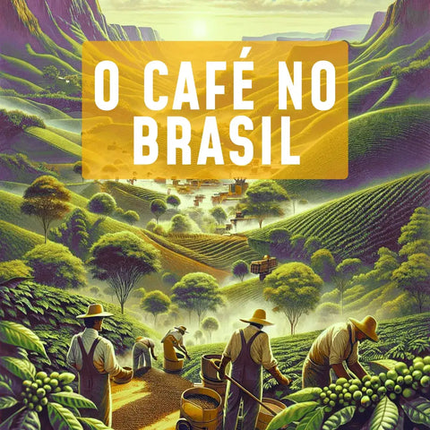 Paisagem vibrante de fazenda de café no Brasil com sol nascendo e texto 'O Café no Brasil' destacado.