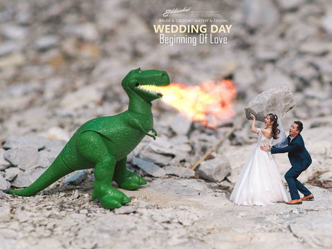 Crazy Wedding Photos