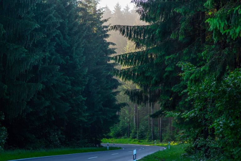 Foggy highway in Black Forest