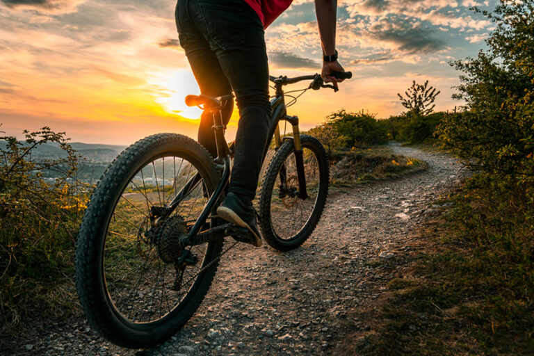 Mountain biker on trail