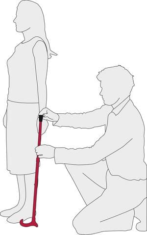 How to Measure a Cane