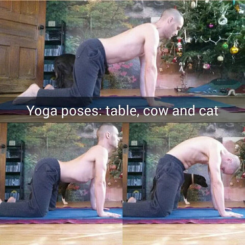 Man doing yoga -- Table and Cat-Cow Poses