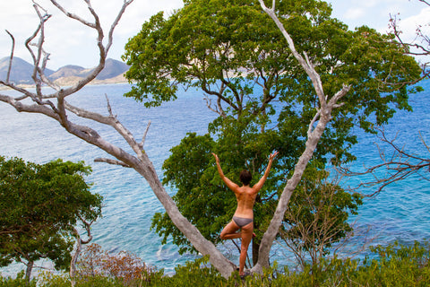 Woman doing Yoga -- Tree Pose in front of a tree