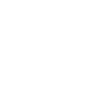 A simple shopping bag icon in white.