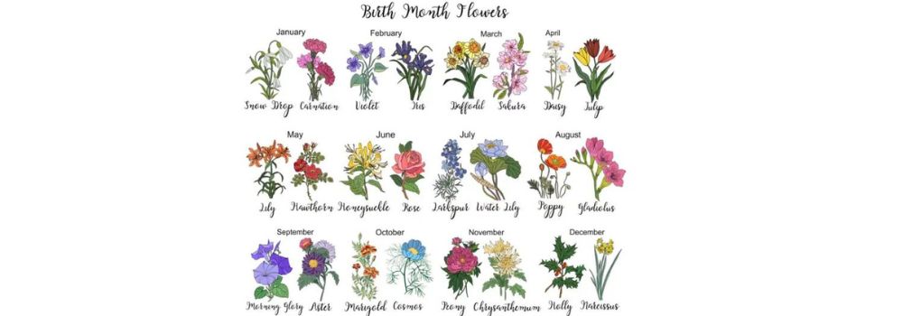 birth month flower calendar showing primary and secondary flowers for each month