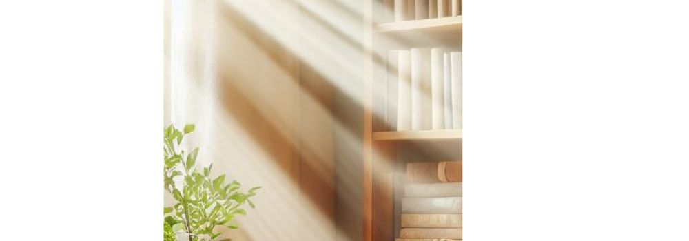 bookshelf with the rays from sunlight beaming directly onto the books