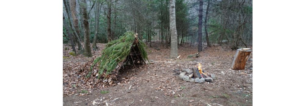 forest with a campfire and shelter setup