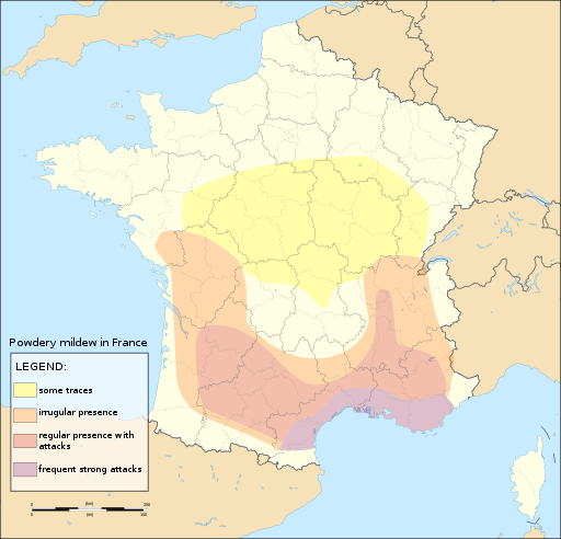 France location map-Powdery mildew