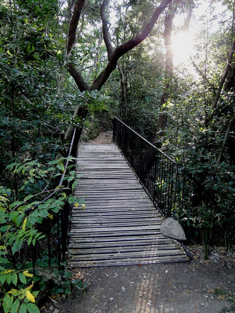 Pont de Chine © Domaine du Rayol