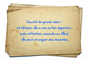 SECRET GRAND MERE Menthe