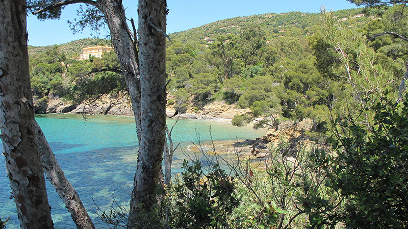 Vue sur l'Hotel de la Mer et la baie du Figuier © Domaine du Rayol