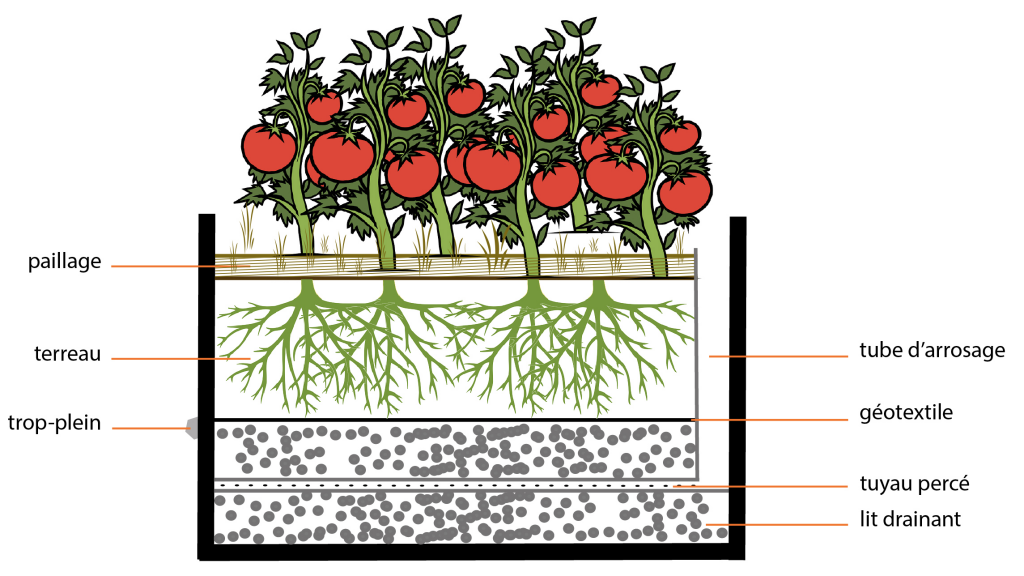 Wicking-Bed