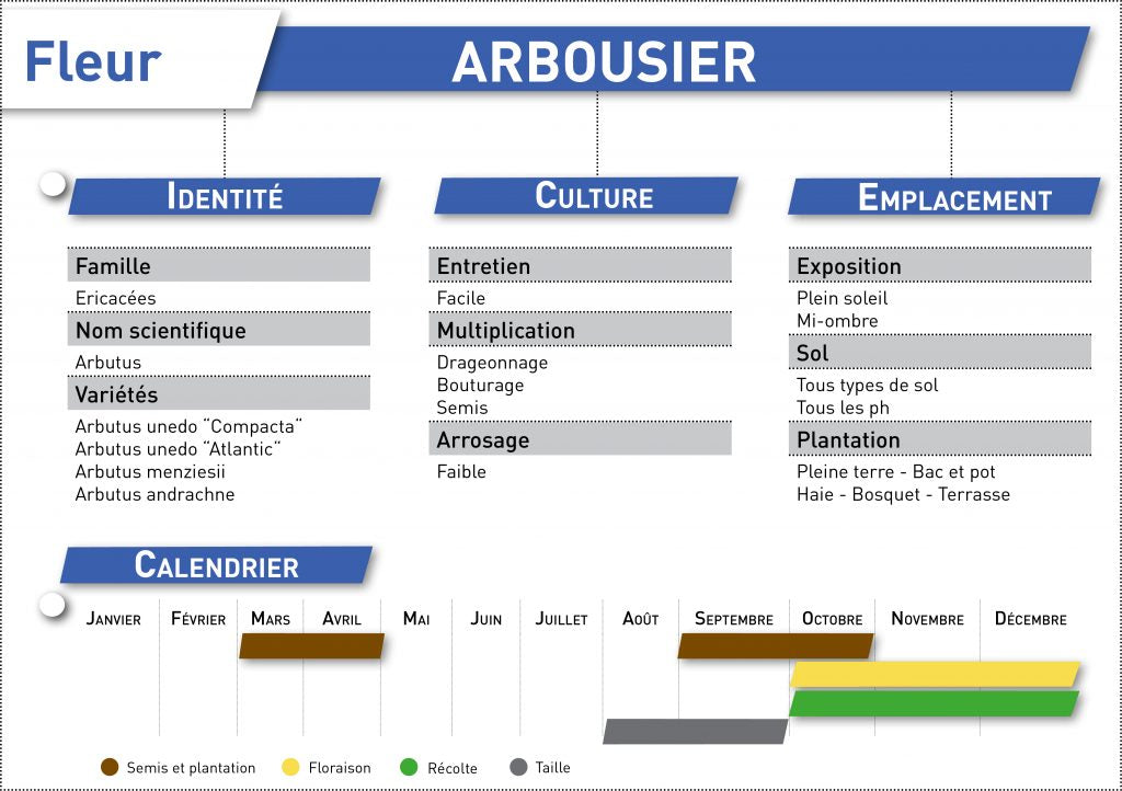 fiche a telecharger arbousier