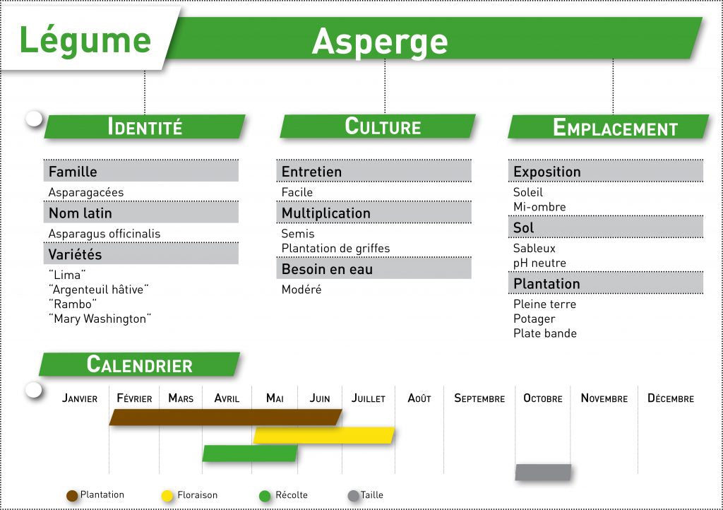 fiche à télécharger oleomac carnet du jardinier asperge