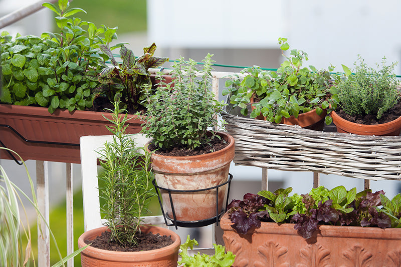 balcon jardiniere pot