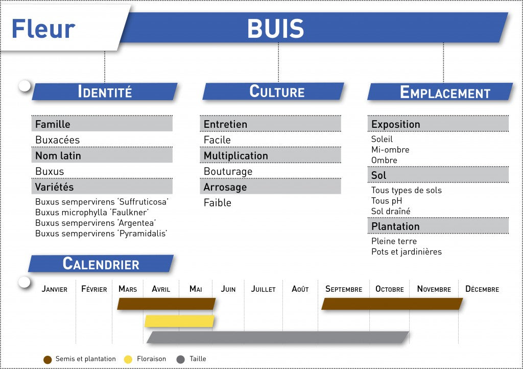 buis fiche telechargeable