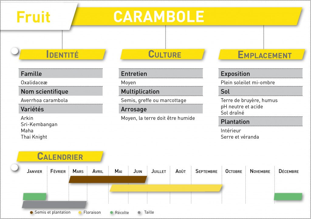 carambole