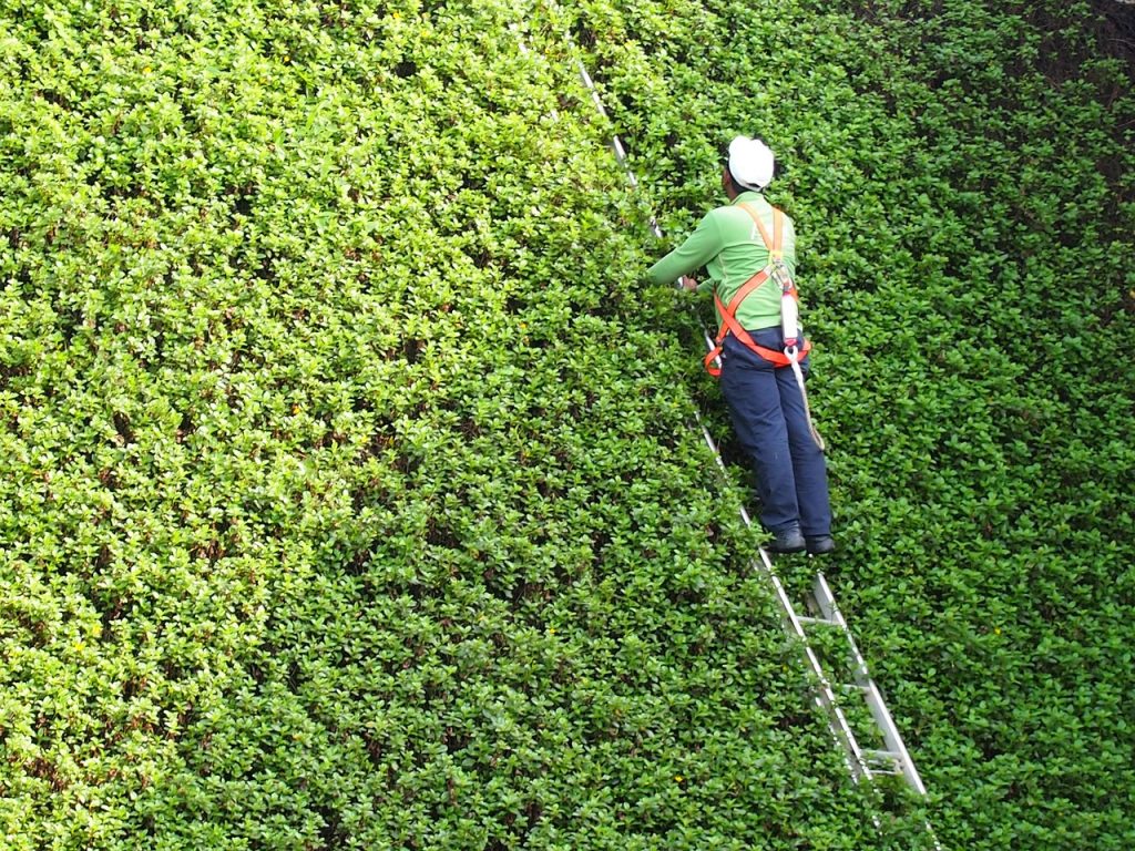 travailler en hauteur oleomac echelle vert