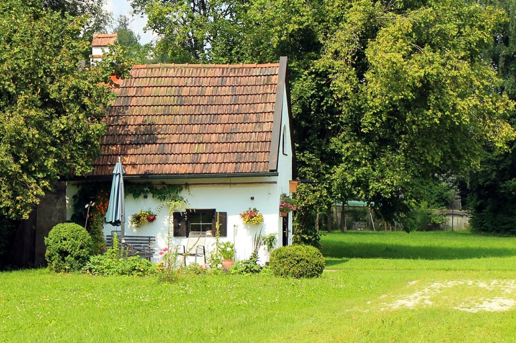 abri de jardin été parasol pelouse