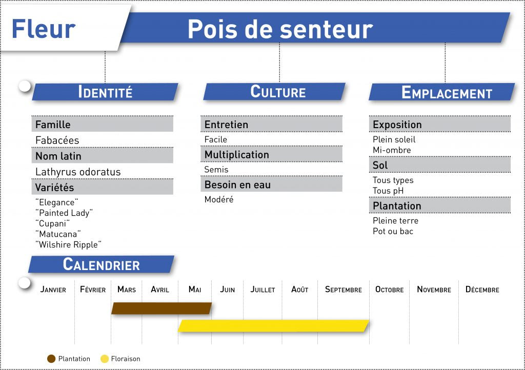 pois de senteur oleomac fiche