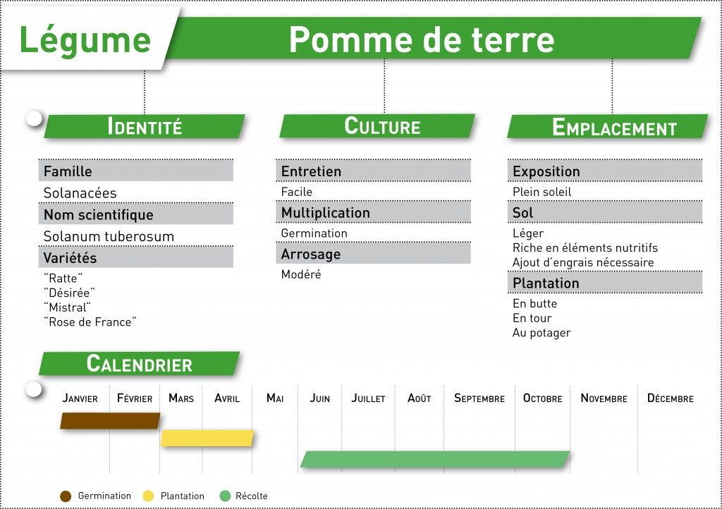 pomme de terre fiche a telecharger