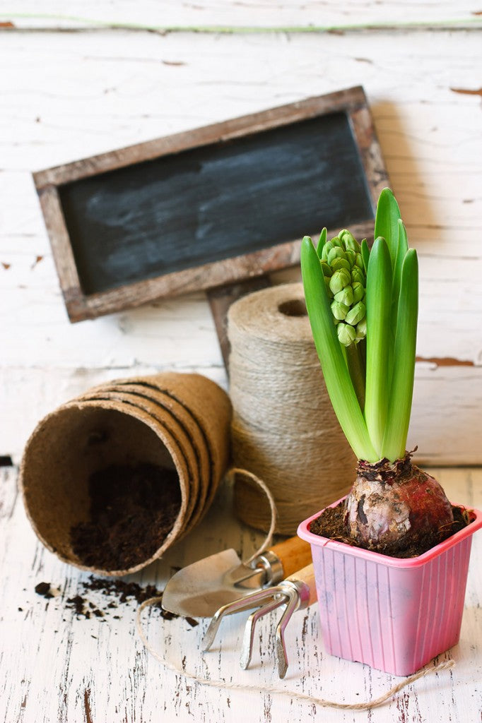 outils de jardin et étiquette en ardoise