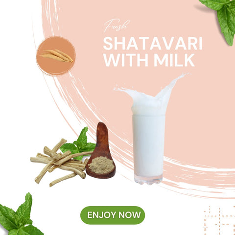 Shatavari with Milk