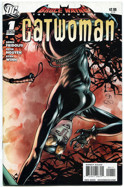 Bruce Wayne the Road Home Catwoman #1 One-Shot DC Harley Quinn Batman –  redrum comics