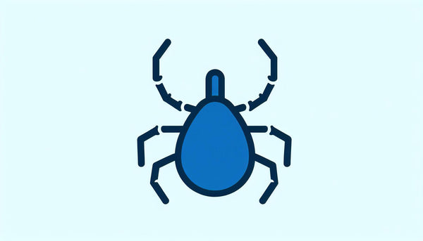 an illustration of blue deer tick. The tick bite will cause neurological symptoms