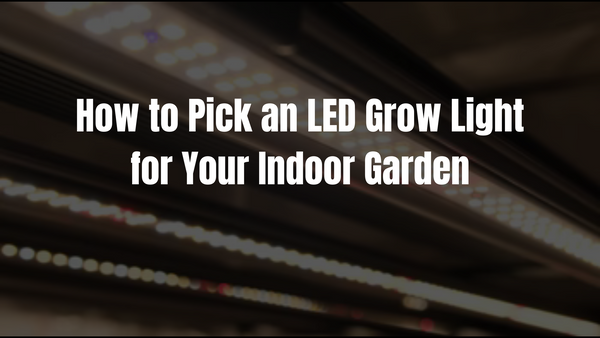 How to Pick an LED Grow Light for Your Indoor Garden