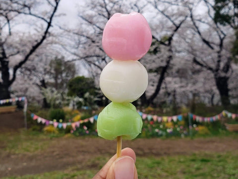 A hand holds a pink, white, and green dango mochi on a stick at a cherry blossom park