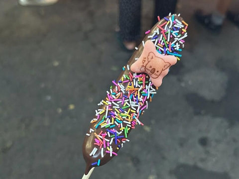 A hand holds a choco banana with colorful sprinkles and a koala cookie on top