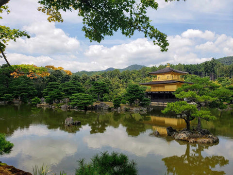 Kyoto's Kinkakuji, Golden Pavilion surrounded by greenery and a pond