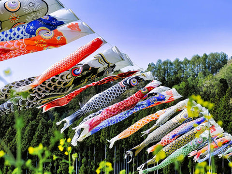 Many carp streamers hang from a line for Children's Day, a Golden Week holiday