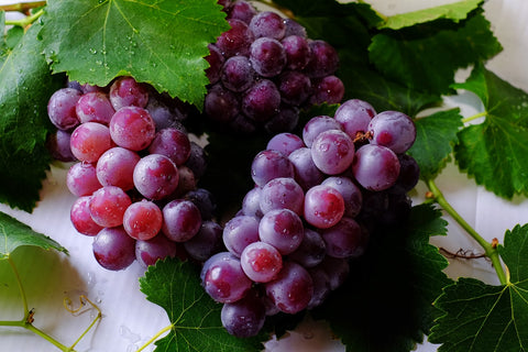 Purple grapes