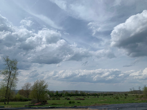 Pasture outside New Wilmington, Pennsylvania