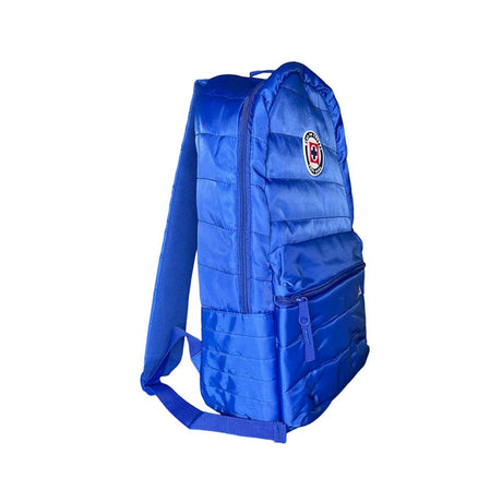 Mochila Under Armour UA Roland Backpack De Entrenamiento Unisex, Azul,  Unitalla : : Ropa, Zapatos y Accesorios