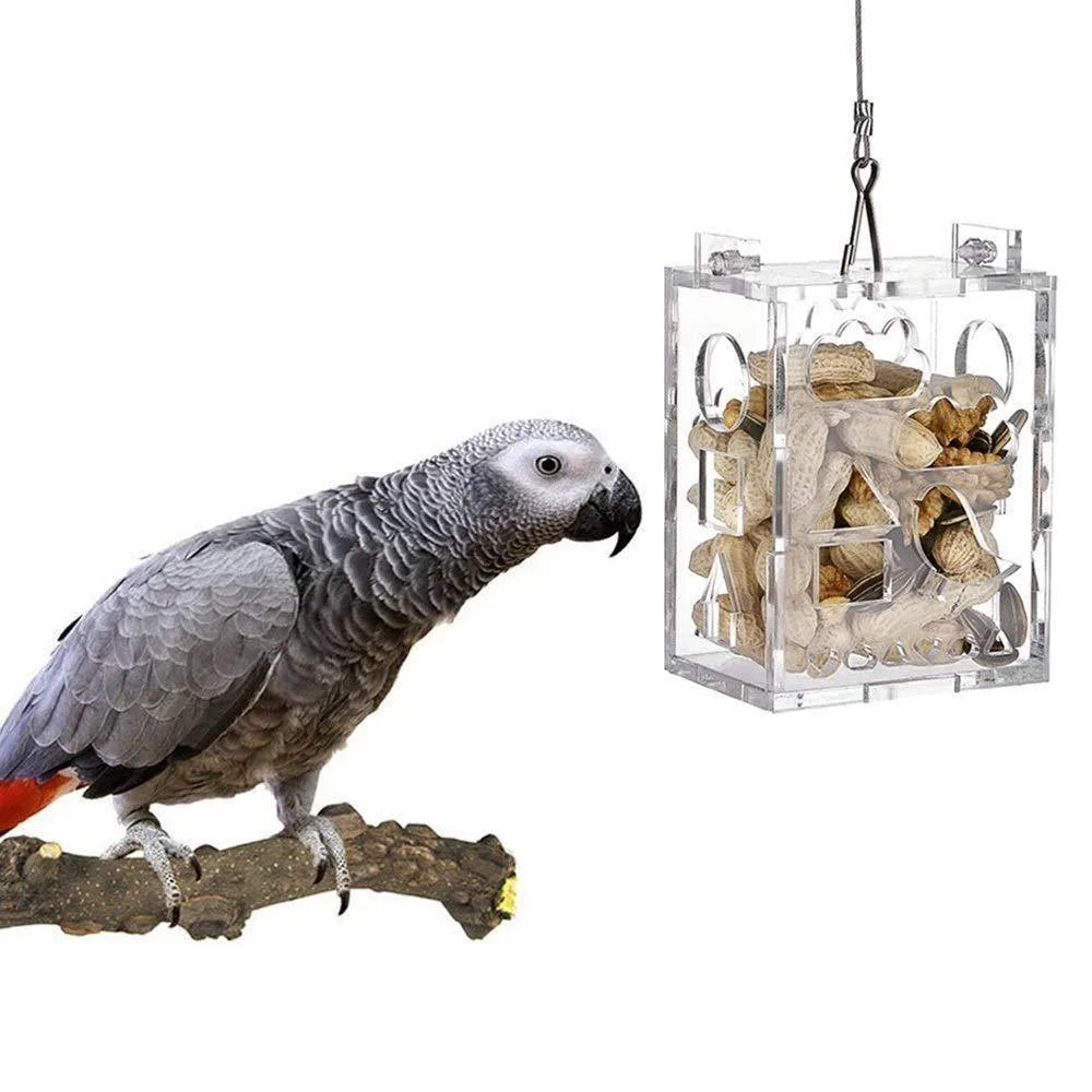 Bird Parrot Hanging Foraging Feeder Feeding Box