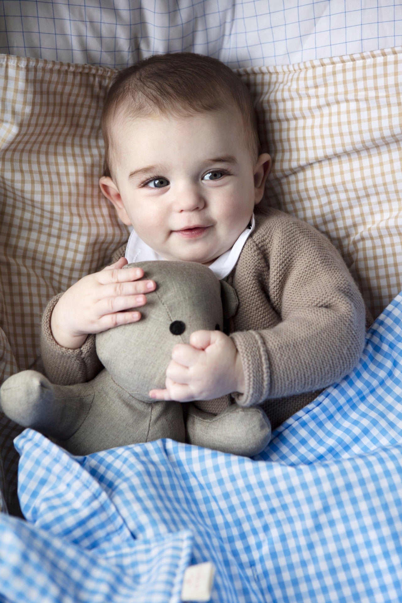 Teddy Bear in Beige Gingham Cotton