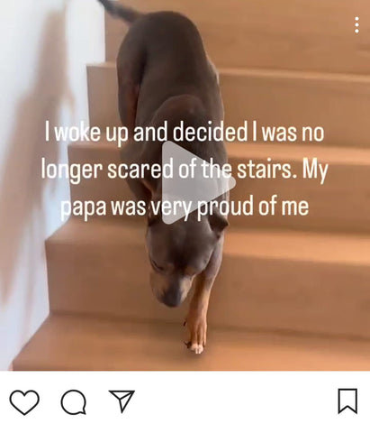 Bravely overcoming her fear of the stairs
