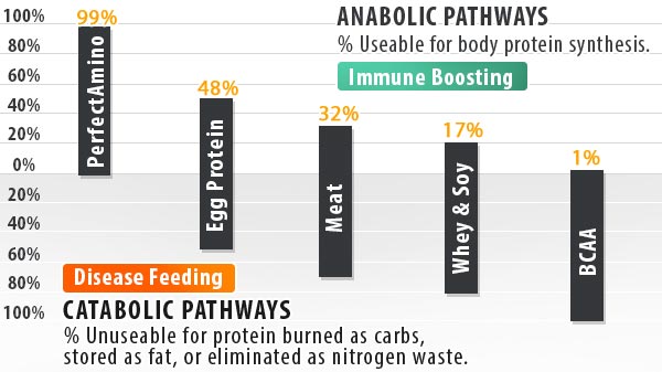 amino acid utilization chart from perfect amino