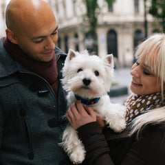 Two people holding and petting a white dog.