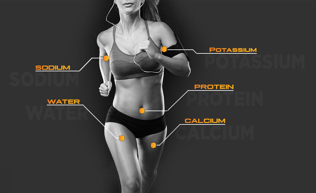PerfectAmino Electrolytes - What's Lost When You Sweat