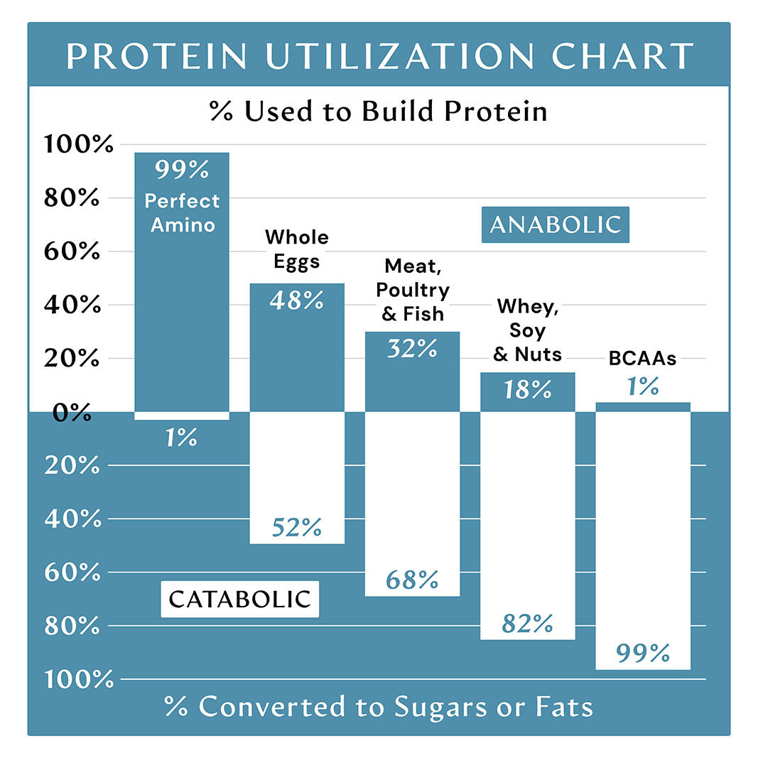 Anabolic Pathways - Usable Body Protein
